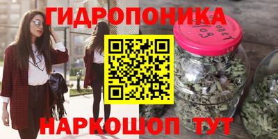 ГАЛЛЮЦИНОГЕННЫЕ ГРИБЫ Коммунар
