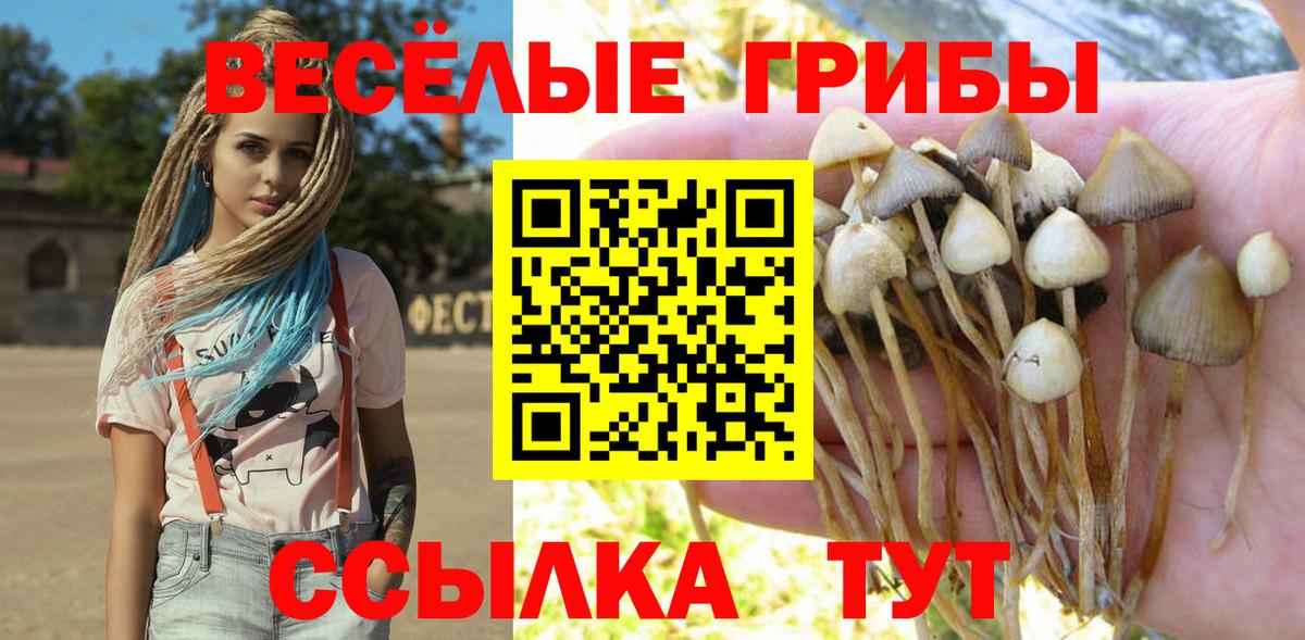 Котельники  Галлюциногенные грибы мухоморы  Вход с VPN 